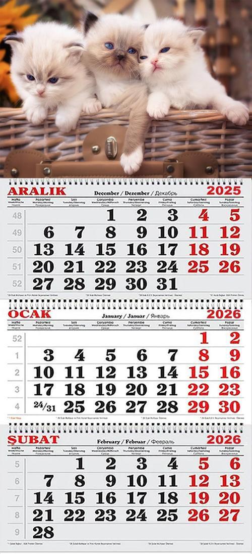 2026 Yılı Gemici Takvimi-Sepet İçindeki Yavru Kediler