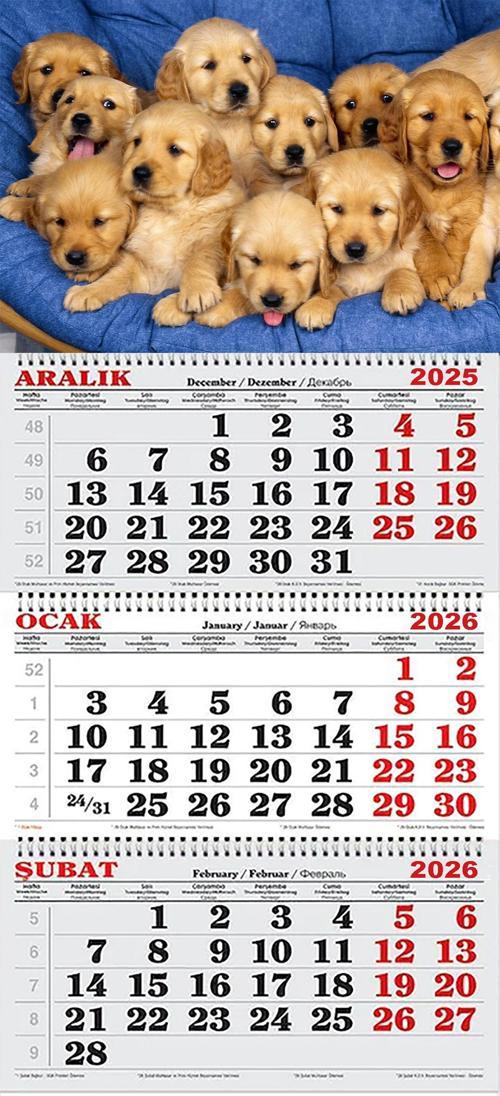 2026 Yılı Gemici Takvimi-Golden Yavruları