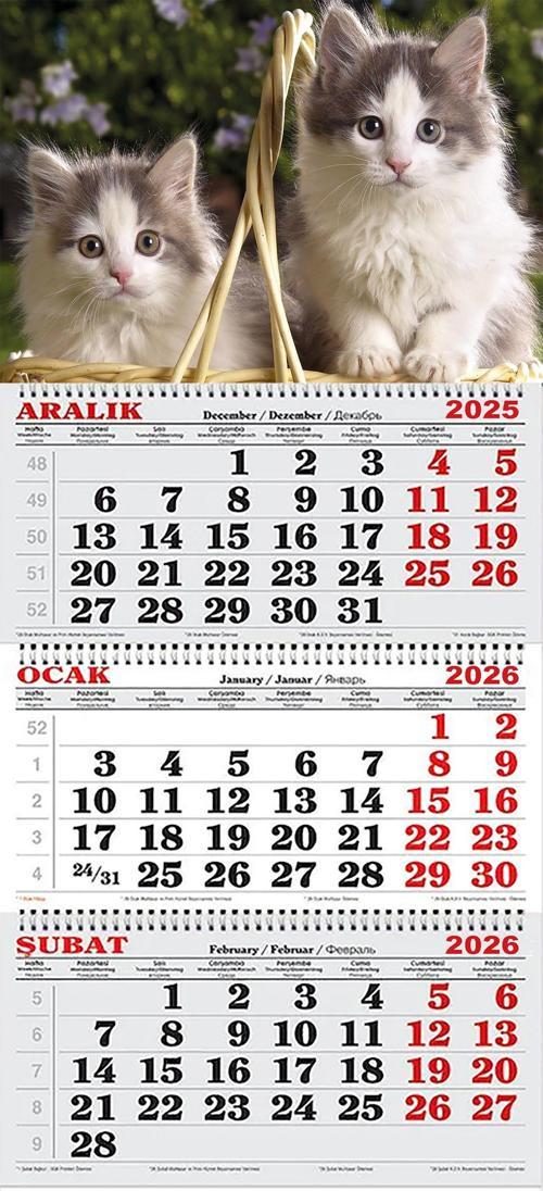 2026 Yılı Gemici Takvimi-Fotoğraf Çektiren Kediler