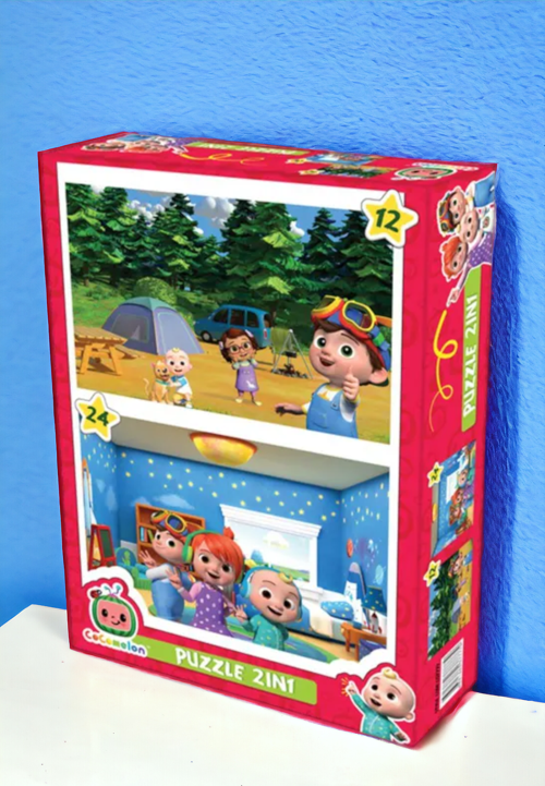 2 in 1 Puzzle Seti Eğlenceli ve Eğitici Çocuk Yapboz Oyun Seti CO777