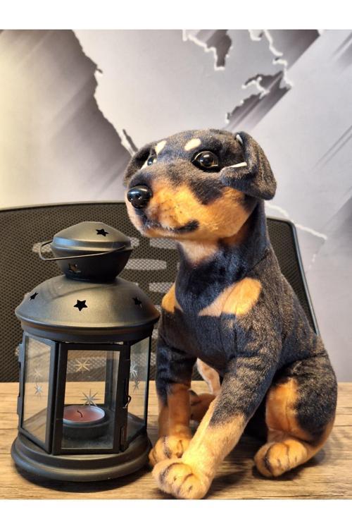 SEVİMLİ DOBERMAN KÖPEĞİ 35cM