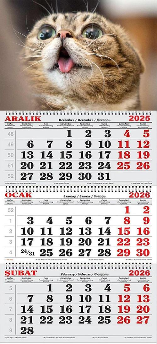 2026 Yılı Gemici Takvimi-Kedi