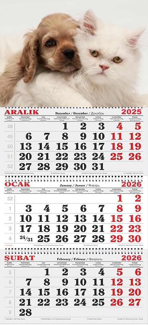 2026 Yılı Gemici Takvimi-Kedi ve Köpek Dostluğu