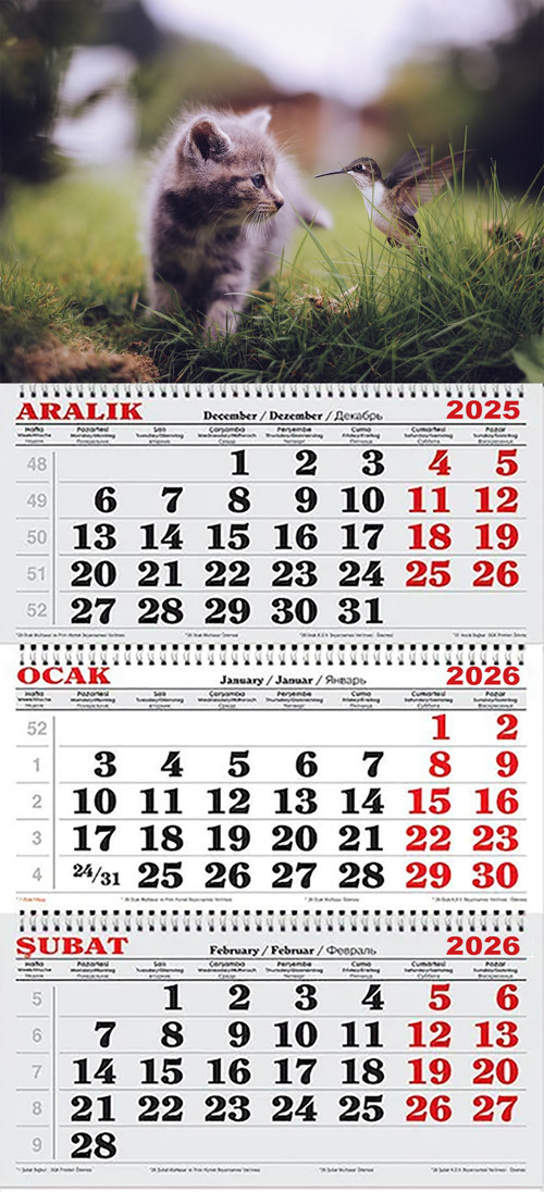 2026 Yılı Gemici Takvimi-Kedi ve Kuş