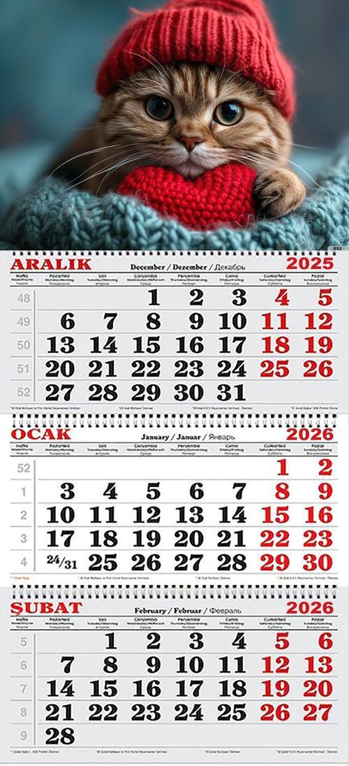 2026 Yılı Gemici Takvimi- Kırmızı Bereli Kedi