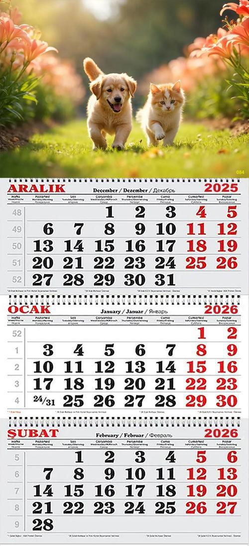 2026 Yılı Gemici Takvimi-Bahçede Kedi ve Köpek