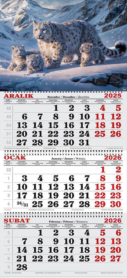 2026 Yılı Gemici Takvimi- Kar Leoparı ve Yavruları