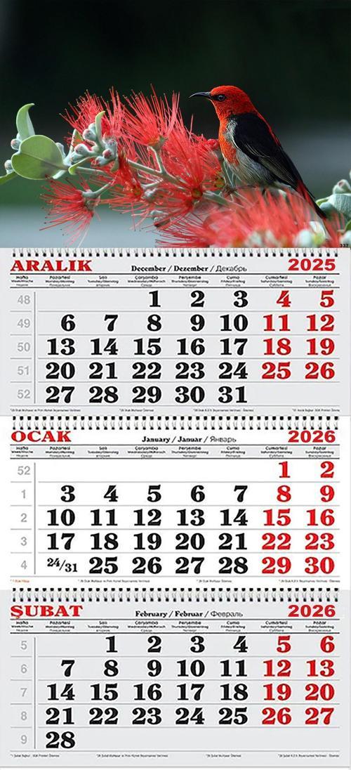 2026 Yılı Gemici Takvimi- Kızıl Bal Kuşu