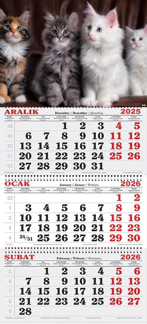 2026 Yılı Gemici Takvimi-Şaşkın Kediler