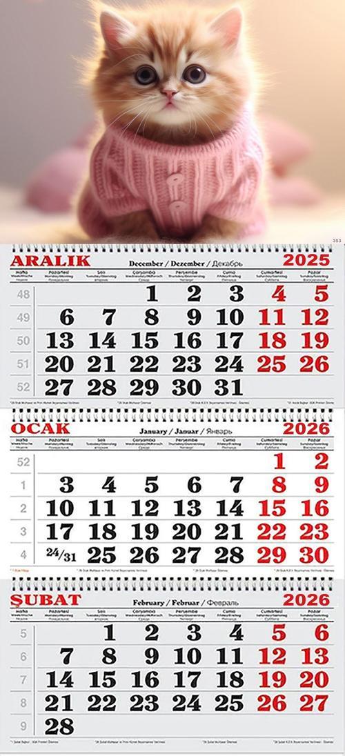 2026 Yılı Gemici Takvimi- Pembe Kazaklı Yavru Kedi