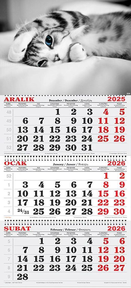 2026 Yılı Gemici Takvimi-Tatlı Kedi