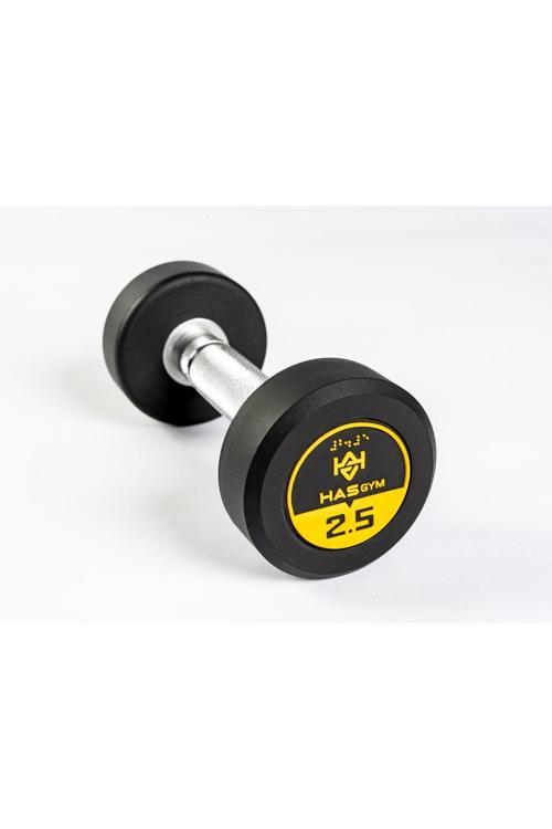 Profesyonel Kauçuk Kaplı Dumbbell 2.5 Kg