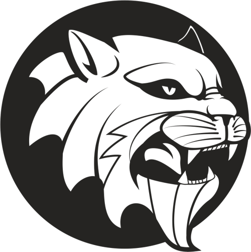 ASLAN 8 FOLYO STİCKER 160cm Uzunluk