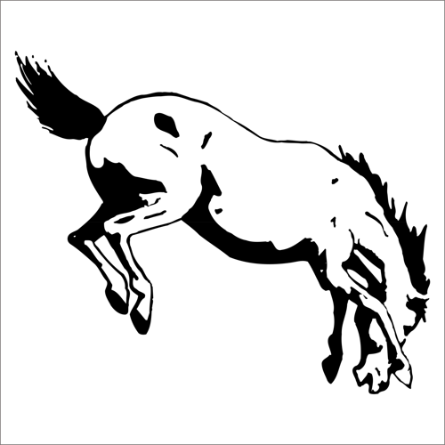 AT FOLYO STİCKER 160cm Uzunluk