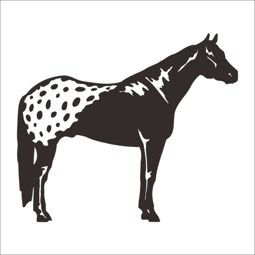 AT FOLYO STİCKER 50cm Uzunluk