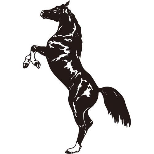 AT FOLYO STİCKER 160cm Uzunluk