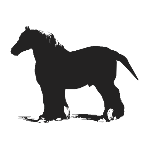 AT FOLYO STİCKER 160cm Uzunluk