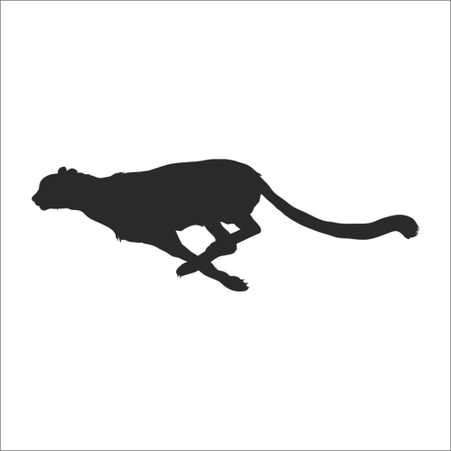 ÇİTA FOLYO STİCKER 70cm Uzunluk