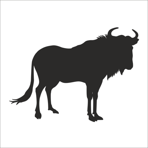 BUFALO FOLYO STİCKER 90 cm uzunluk