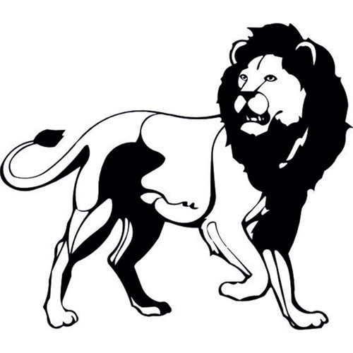 ASLAN LİON FOLYO STİCKER 90 cm uzunluk