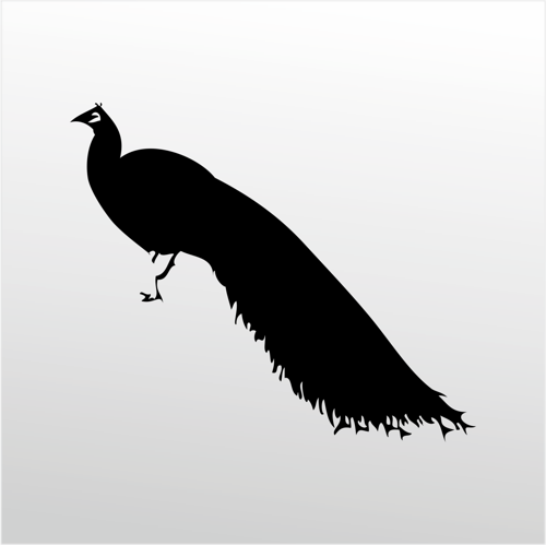 Folyo Sticker Tavuz Kuşu 90 cm uzunluk