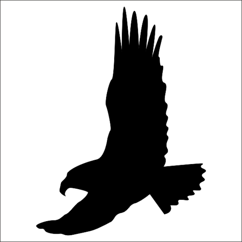 KUŞ FOLYO STİCKER 20cm uzunluk
