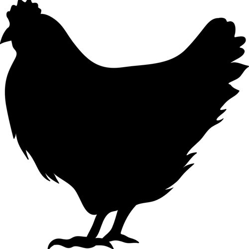 TAVUK FOLYO STİCKER 70cm Uzunluk