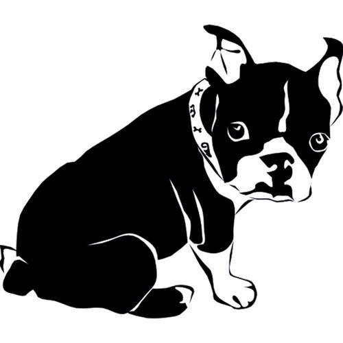 YAVRU KÖPEK FOLYO STİCKER 80cm Uzunluk