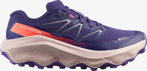 Ultra Flow 2 Gtx Kadın Koşu Ayakkabısı
