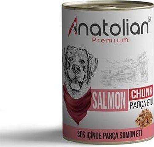 Premium Parça Etli Somonlu Yetişkin Köpek Konservesi 6 Adet 400 Gr
