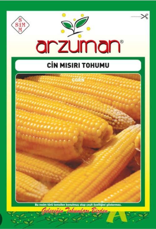 Cin Mısırı Tohumu