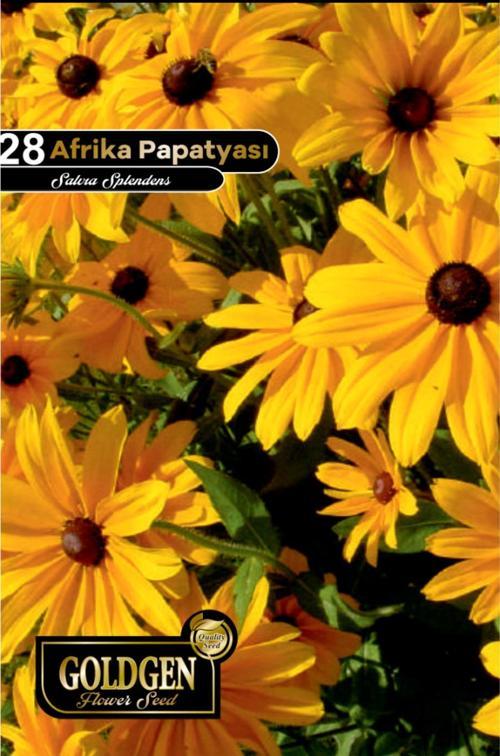 Afrika Papatyası Tohumu