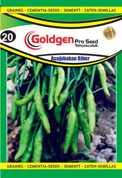 Biber Aşağı Bakan Tohumu