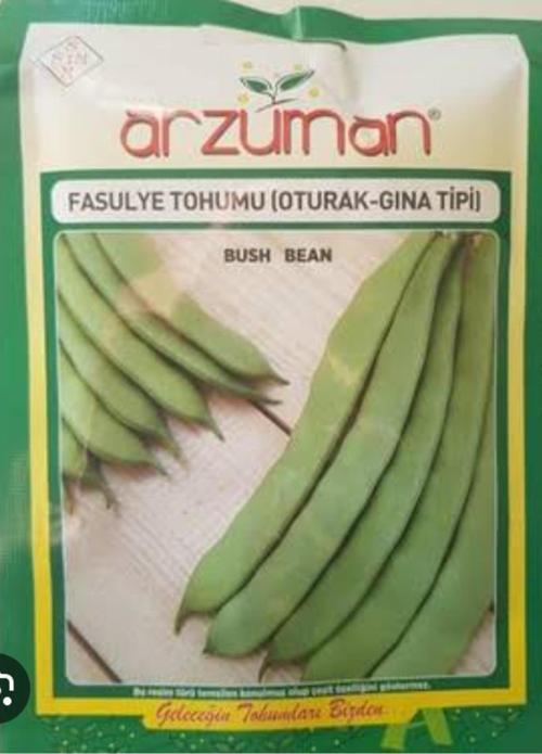 Fasulye Tohumu Oturak Gına Tipi