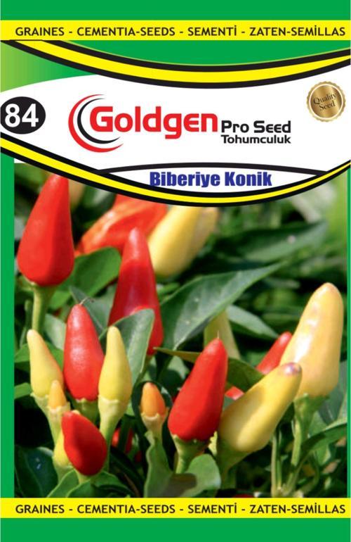 Biberiye Konik Tohum