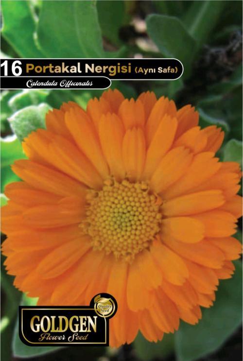 Portakal Nergisi (Aynı Sefa) Çiçeği Tohumu