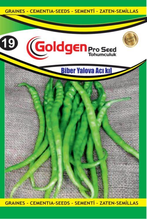 Biber (Yalova Acı Kıl) Tohumu