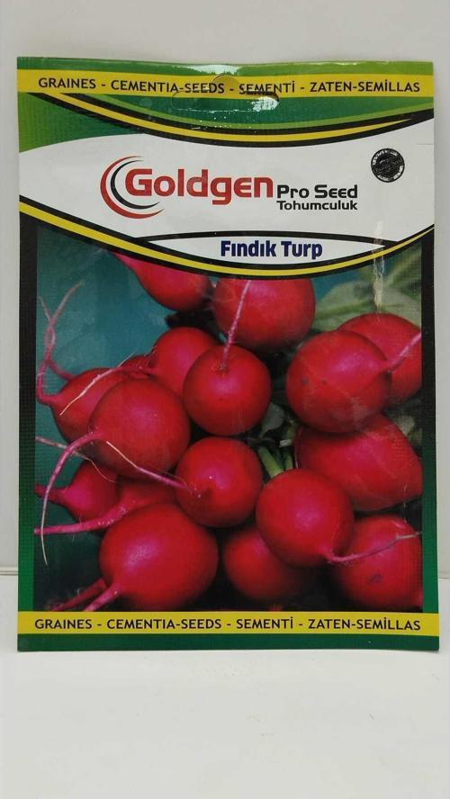 Fındık Turp Tohumu
