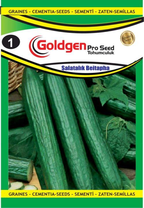 Salatalık (Beitepha) Tohumu