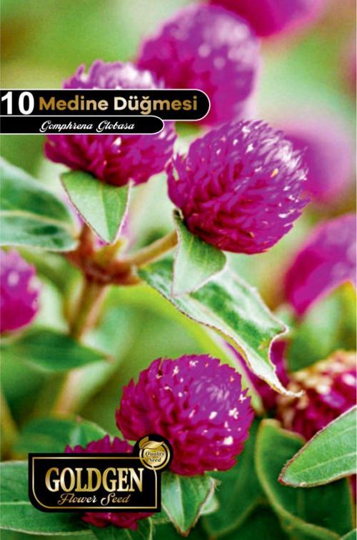 Medine Düğmesi Tohumu