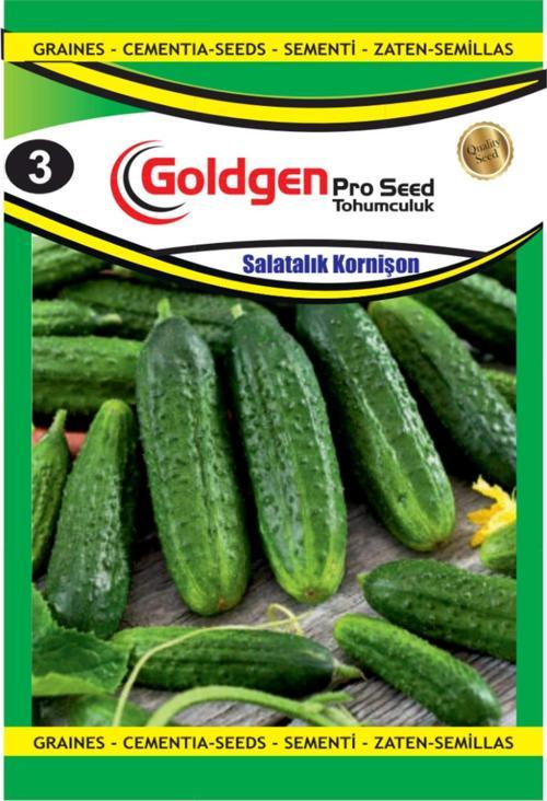 Kornişon Salatalık Tohumu