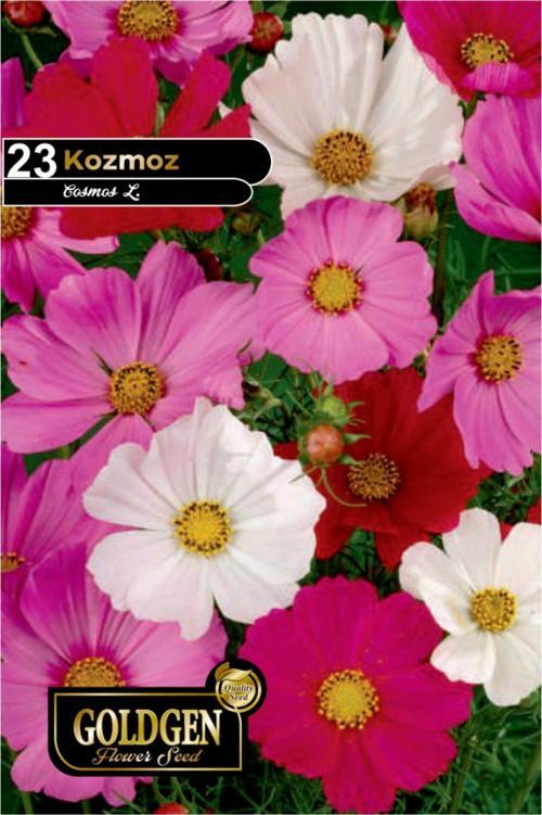 Kozmoz Çiçeği Tohumu