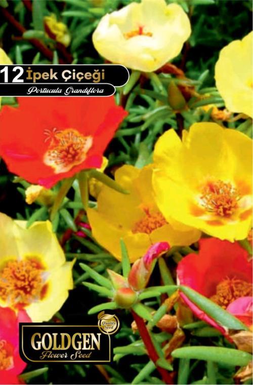 İpek Çiçeği Tohumu