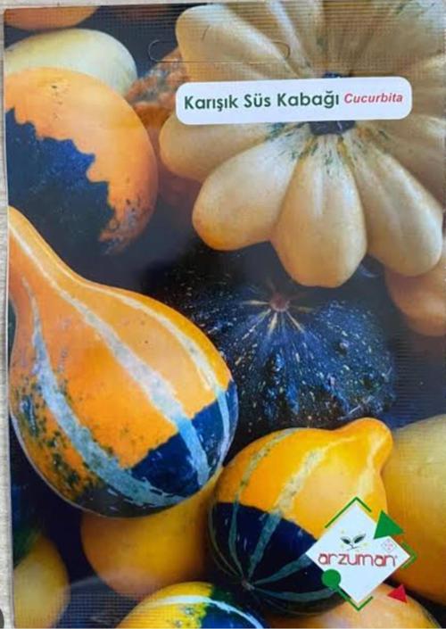 Karışık Süs Kabağı Tohumu