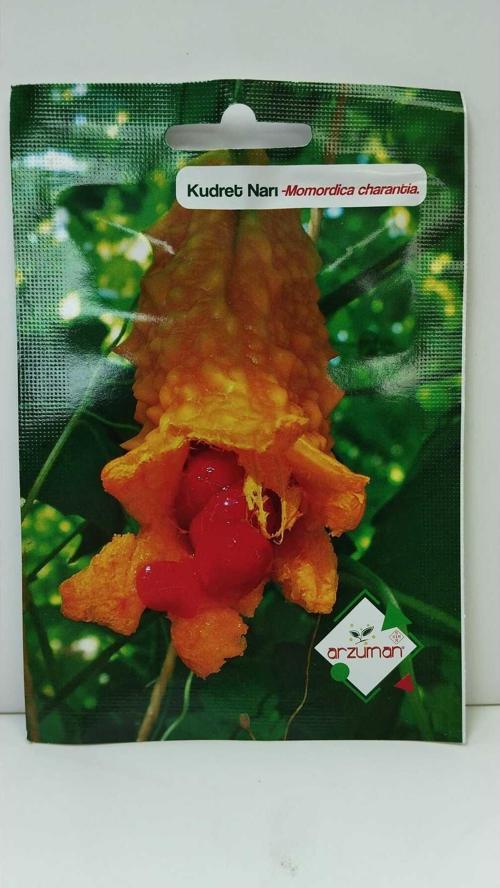 Kudret Narı Tohumu 5 Adet