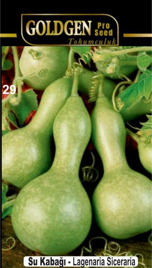 Su Kabağı Tohumu