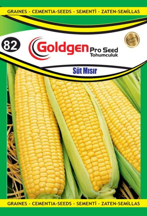 Süt Mısır Tohumu