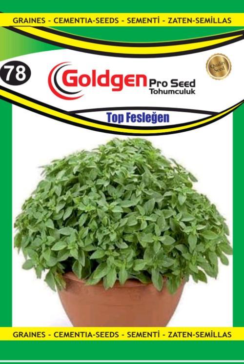 Top Fesleğen Tohumu