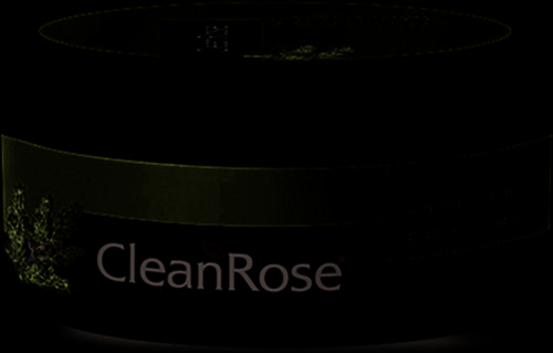 Clean Rose Lavanta Kremi 120 ml Irtamdan