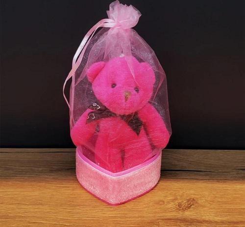 Pembe Hediyelik Kese İçinde Ayıcık